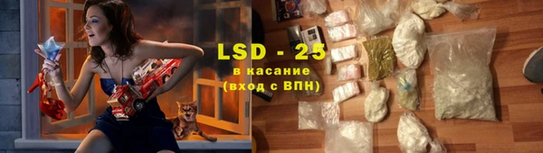 индика Балахна