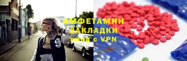 индика Балахна