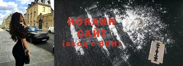 индика Балахна