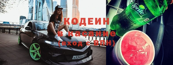 индика Балахна