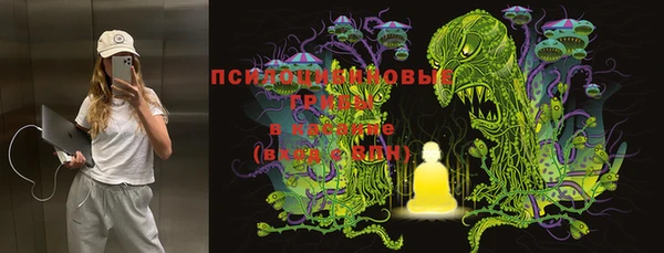 индика Балахна