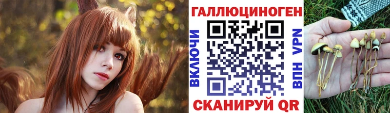 Галлюциногенные грибы мухоморы Куса